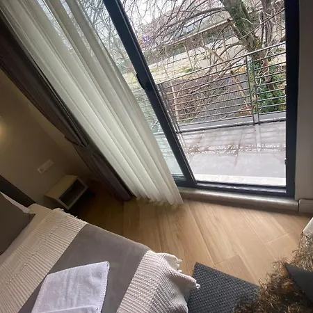 Bella 3