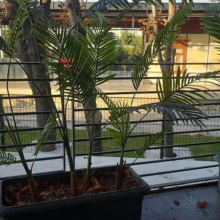 Hotel Bella 3 Istanbul